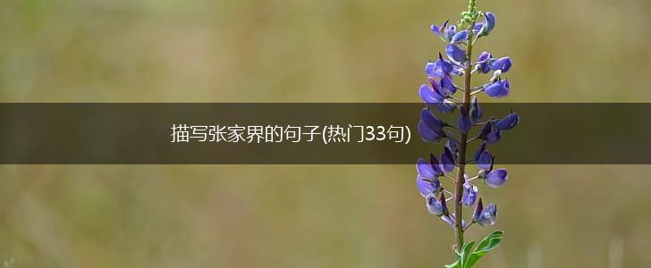 描写张家界的句子(热门33句),第1张