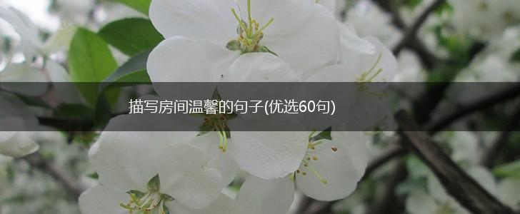 描写房间温馨的句子(优选60句),第1张