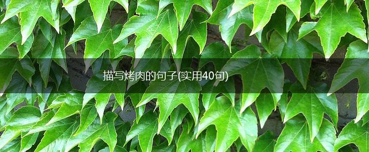 描写烤肉的句子(实用40句),第1张