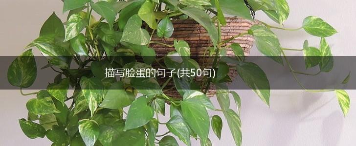 描写脸蛋的句子(共50句),第1张