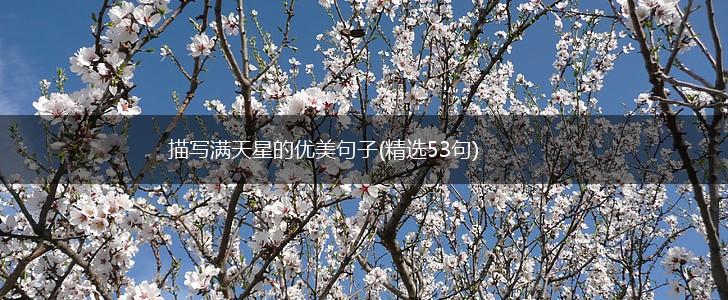 描写满天星的优美句子(精选53句),第1张