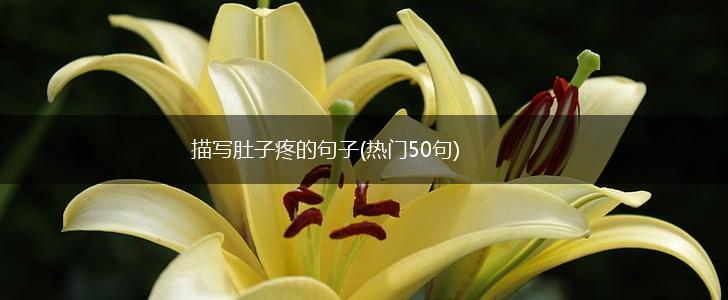 描写肚子疼的句子(热门50句),第1张