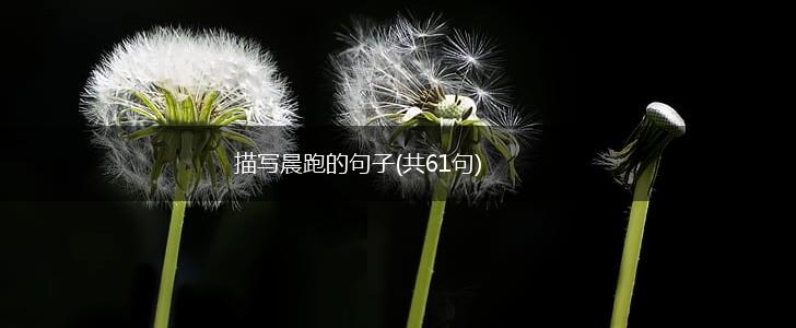 描写晨跑的句子(共61句),第1张