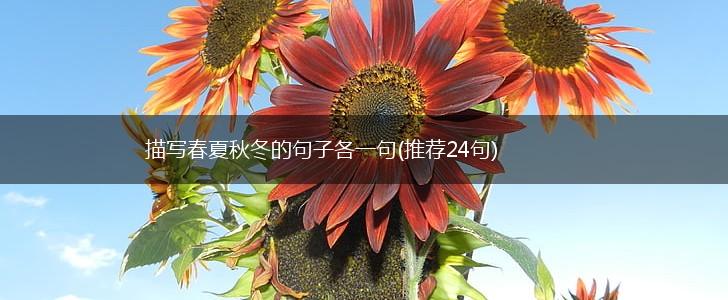 描写春夏秋冬的句子各一句(推荐24句),第1张