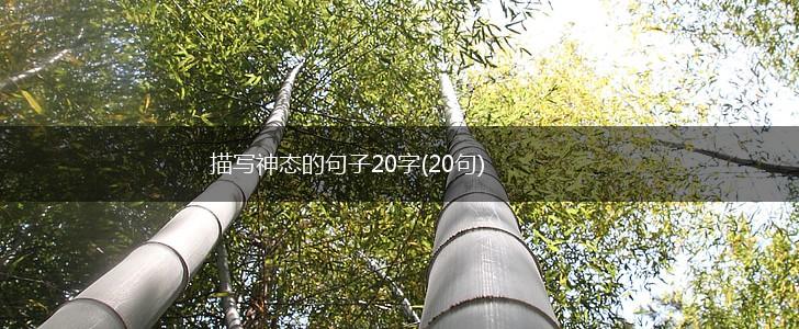 描写神态的句子20字(20句),第1张