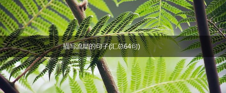 描写流星的句子(汇总64句),第1张