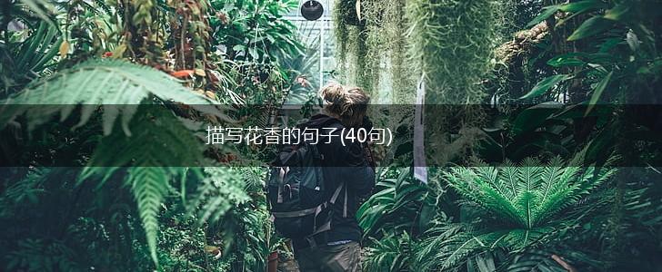 描写花香的句子(40句),第1张