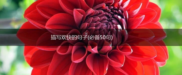 描写欢快的句子(必备50句),第1张