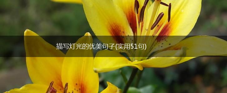 描写灯光的优美句子(实用51句),第1张