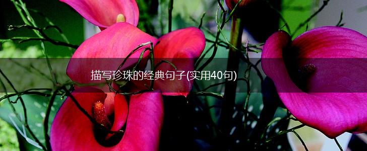 描写珍珠的经典句子(实用40句),第1张