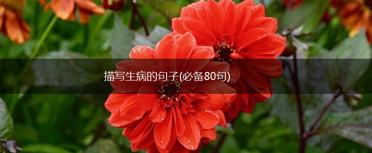 描写生病的句子(必备80句),第1张