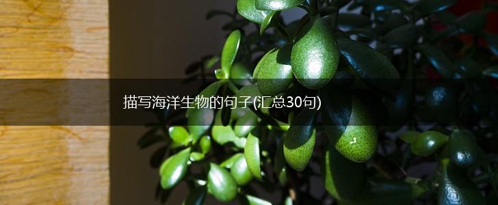 描写海洋生物的句子(汇总30句),第1张