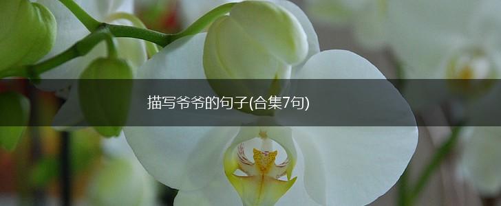 描写爷爷的句子(合集7句),第1张