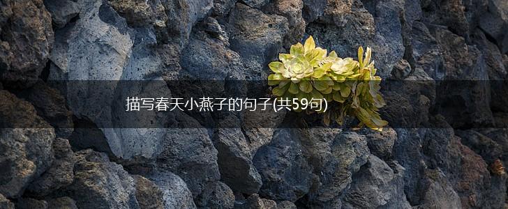 描写春天小燕子的句子(共59句),第1张