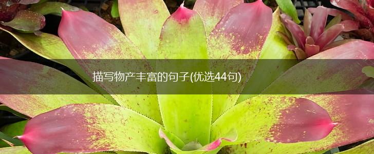 描写物产丰富的句子(优选44句),第1张