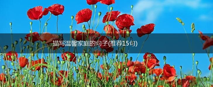 描写温馨家庭的句子(推荐15句),第1张