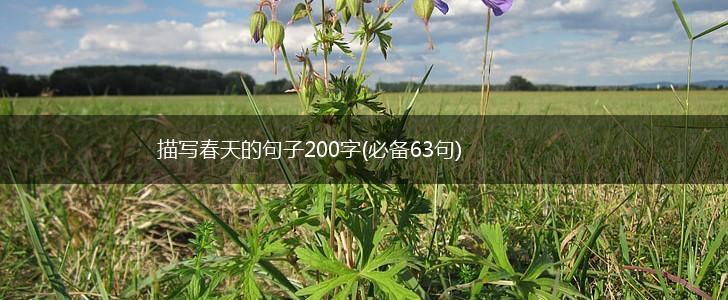 描写春天的句子200字(必备63句),第1张