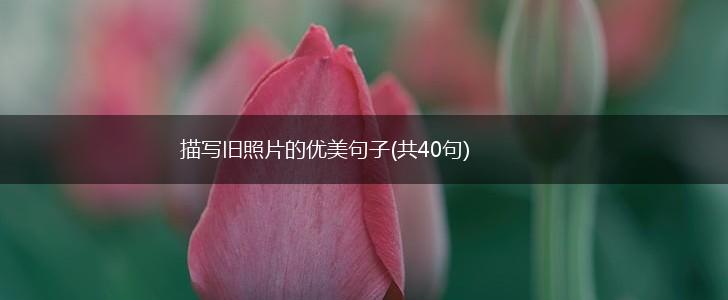 描写旧照片的优美句子(共40句),第1张