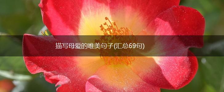 描写母爱的唯美句子(汇总69句),第1张