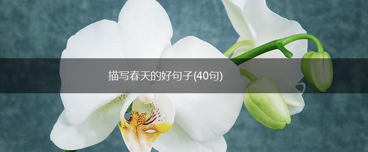 描写春天的好句子(40句),第1张