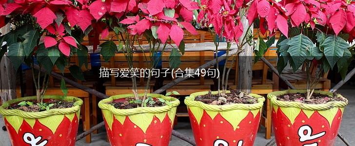 描写爱笑的句子(合集49句),第1张