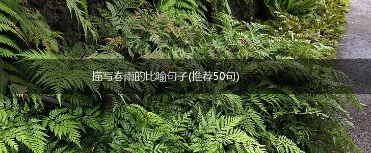 描写春雨的比喻句子(推荐50句),第1张