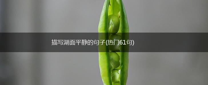 描写湖面平静的句子(热门61句),第1张