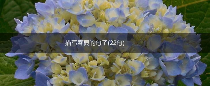 描写春夏的句子(22句),第1张