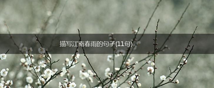 描写江南春雨的句子(11句),第1张 描写江南春雨的句子(11句),第1张