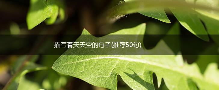 描写春天天空的句子(推荐50句),第1张