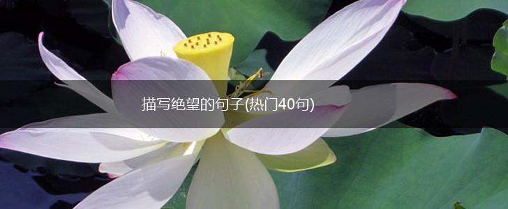描写绝望的句子(热门40句),第1张