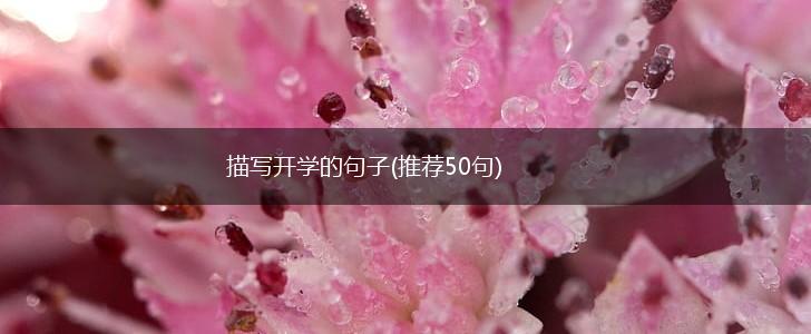 描写开学的句子(推荐50句),第1张