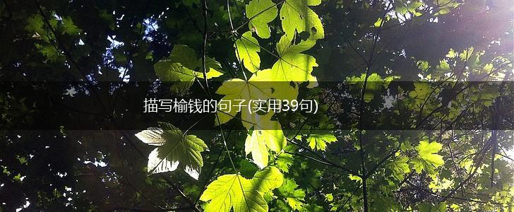 描写榆钱的句子(实用39句),第1张