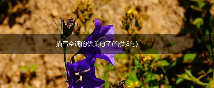 描写空调的优美句子(合集8句),第1张