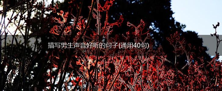描写男生声音好听的句子(通用40句),第1张