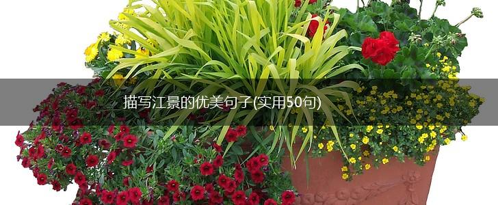 描写江景的优美句子(实用50句),第1张