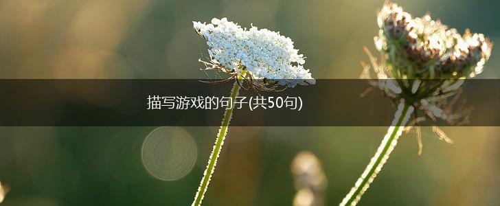 描写游戏的句子(共50句),第1张