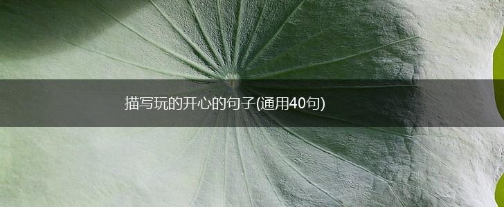 描写玩的开心的句子(通用40句),第1张
