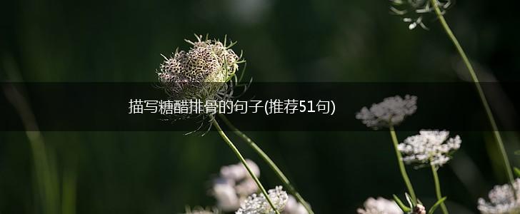 描写糖醋排骨的句子(推荐51句),第1张