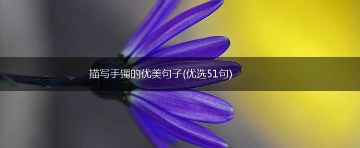 描写手镯的优美句子(优选51句),第1张