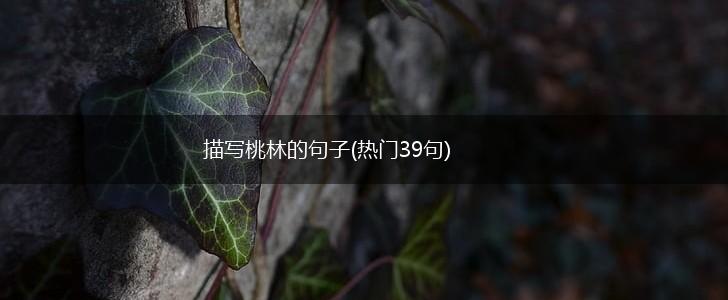 描写桃林的句子(热门39句),第1张