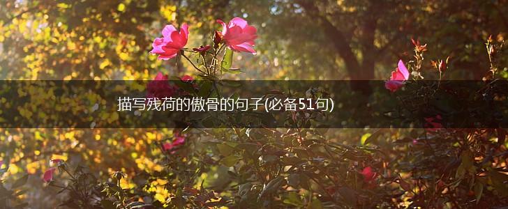 描写残荷的傲骨的句子(必备51句),第1张