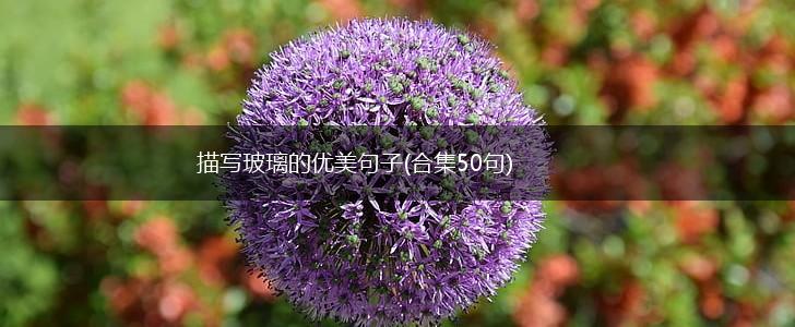 描写玻璃的优美句子(合集50句),第1张