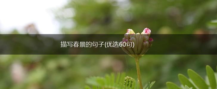 描写春景的句子(优选60句),第1张