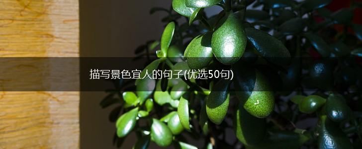 描写景色宜人的句子(优选50句),第1张