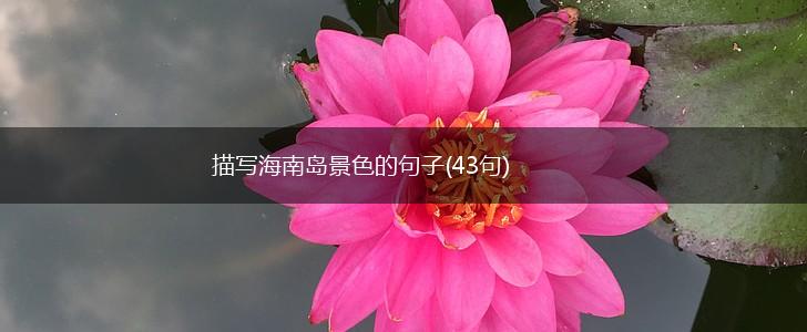 描写海南岛景色的句子(43句),第1张