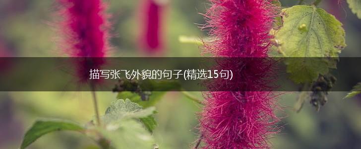 描写张飞外貌的句子(精选15句),第1张