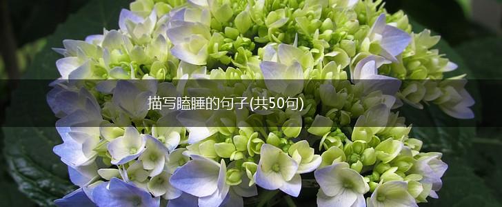 描写瞌睡的句子(共50句),第1张