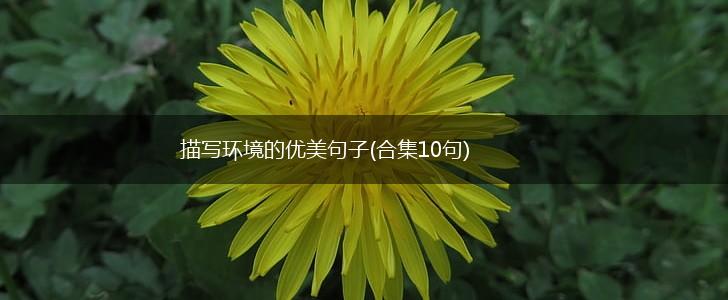 描写环境的优美句子(合集10句),第1张