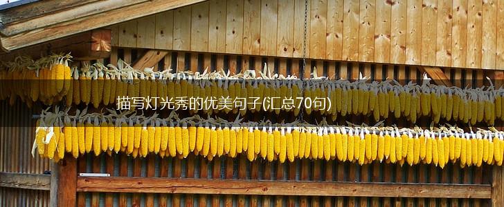 描写灯光秀的优美句子(汇总70句),第1张